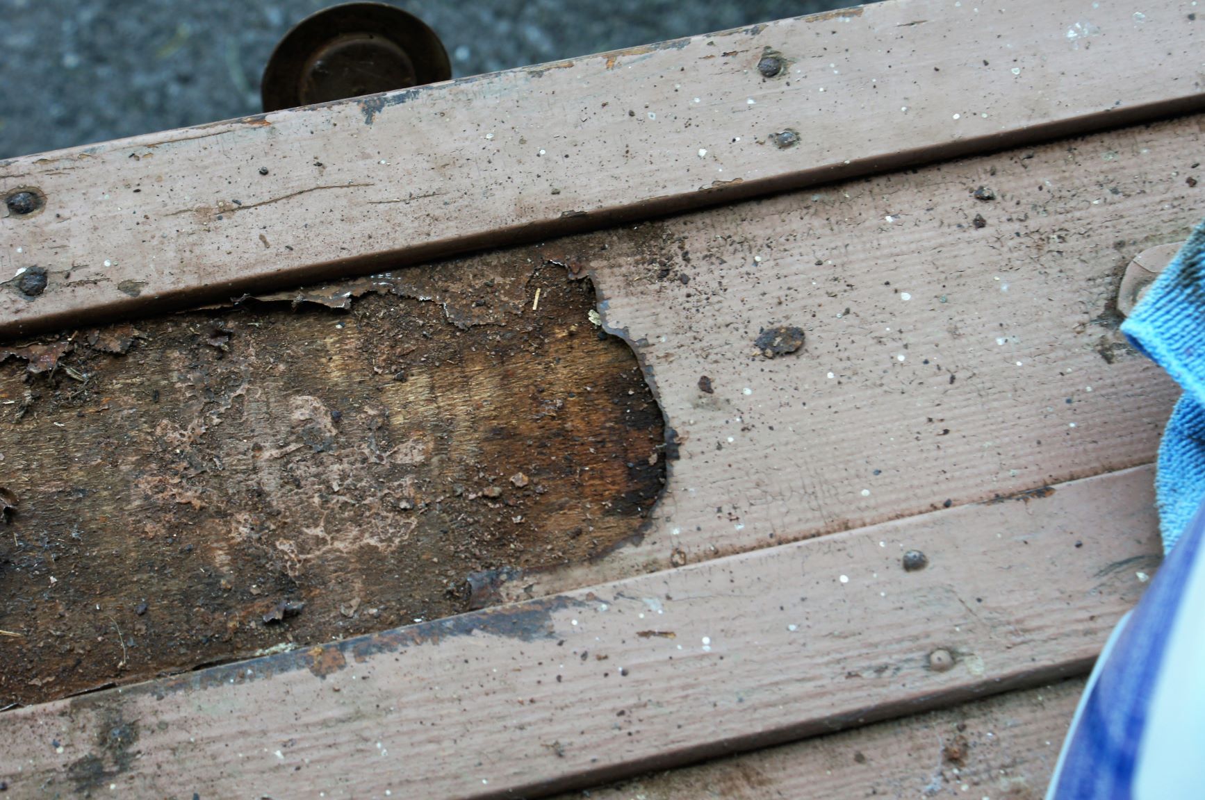Antique Trunk Refinished into Side Table » Cathartic Crafting » Refinishing
